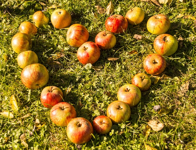 Principi di Mindfulness e yoga applicati all’alimentazione